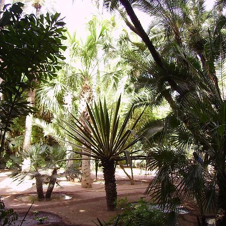 Appart Avec Vue Jardin/Majorelle Marrakesh Eksteriør billede