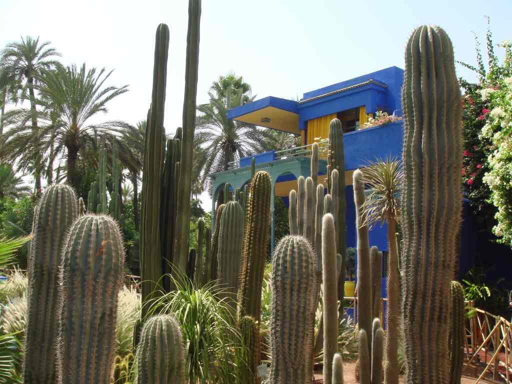 Appart Avec Vue Jardin/Majorelle Marrakesh Eksteriør billede